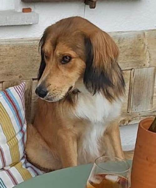 Cliff sucht -seinen Partner-