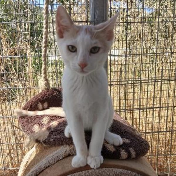 Kleiner Lukas entdeckt die Welt