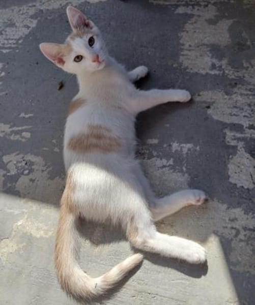 Kleiner Lukas entdeckt die Welt