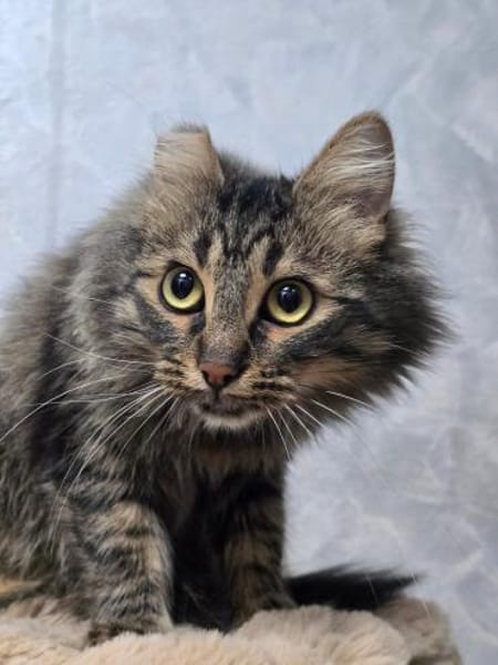 BARBIE-Girl auf Suche nach einem Zuhause