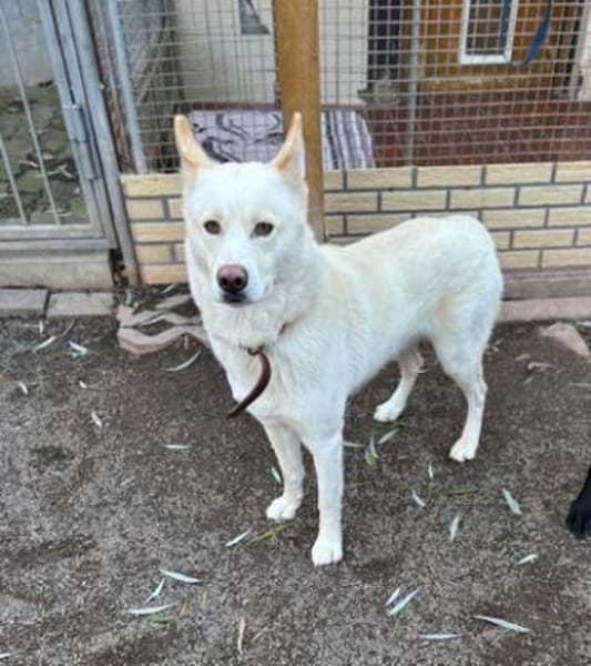 Sally und Diamond - ein liebes Pärchen