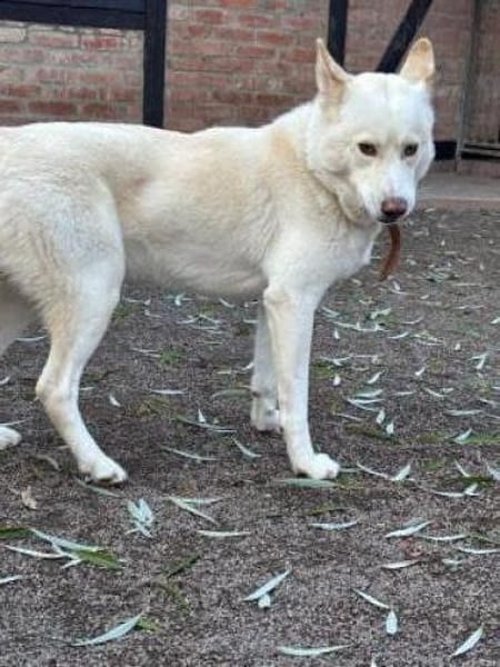 Sally und Diamond - ein liebes Pärchen