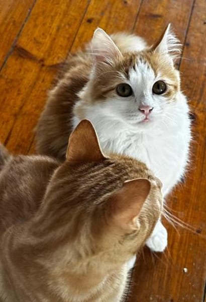 Kleiner Moritz möchte Welt entdecken!