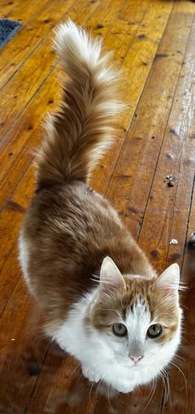 Kleiner Moritz möchte Welt entdecken!