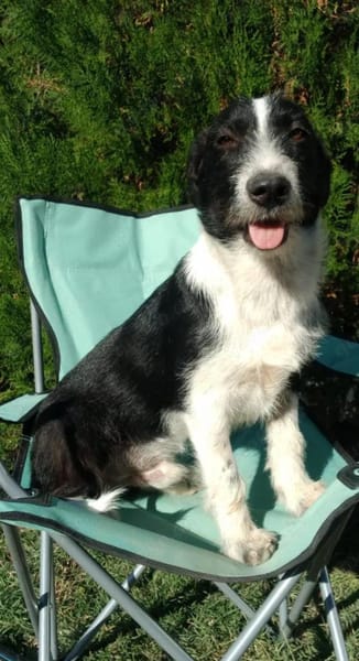 Atos ein kleiner feiner Kerl