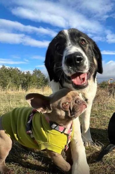 Linda, eine großartige und großherzige