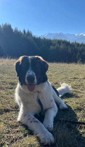 Linda, eine großartige und großherzige