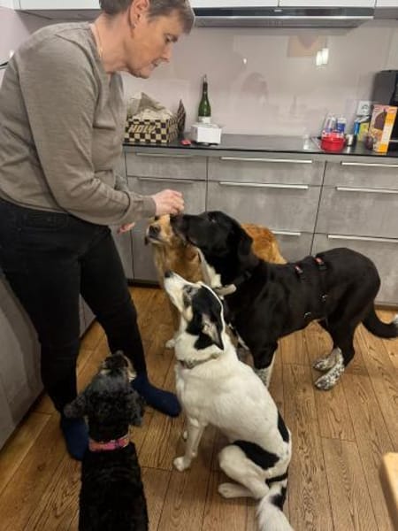 Lebensfrohe Chia wartet in 55131 Mainz