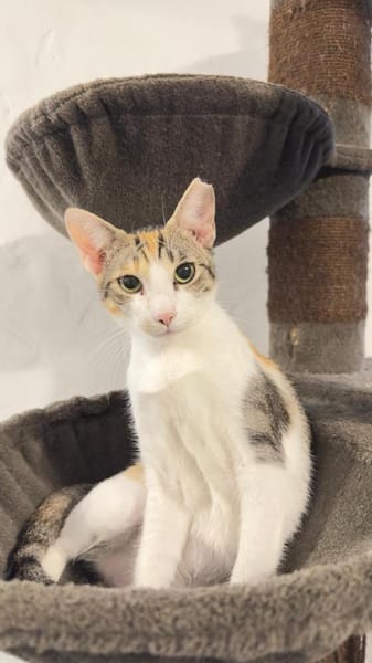 Lucy und Lilly suchen gemeinsamen Dosenö