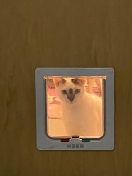 Lucy und Lilly suchen gemeinsamen Dosenö