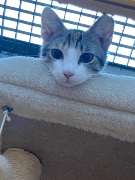 Lucy und Lilly suchen gemeinsamen Dosenö