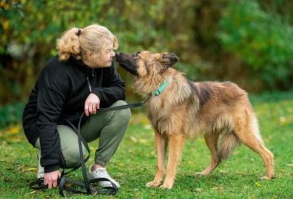 Hans❤sucht Pflege- oder Endstelle