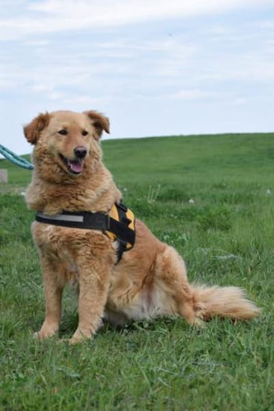 Lena, rauhe Schale- weicher Kern