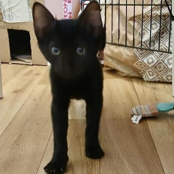 Kleine Olivia möchte die Welt entdecken!