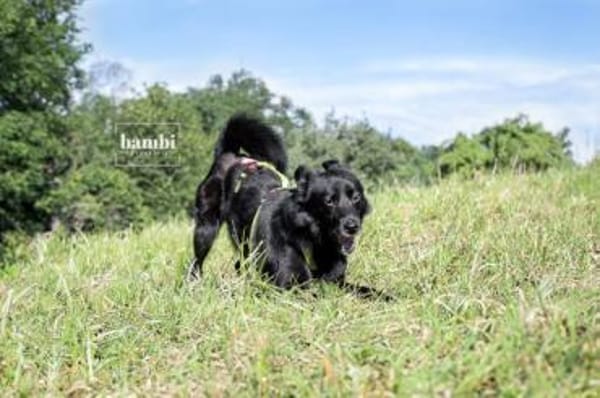 FINO -lebenslustig & aktiv-