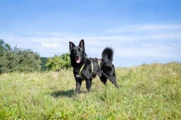 FINO -lebenslustig & aktiv-