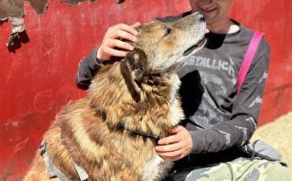 Marius ist ein Gute-Laune-Hund