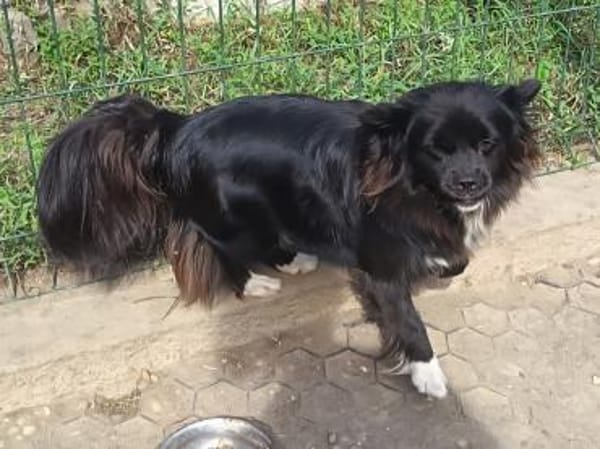 Doris möchte ihre Koffer packen