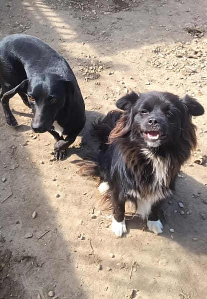 Doris möchte ihre Koffer packen