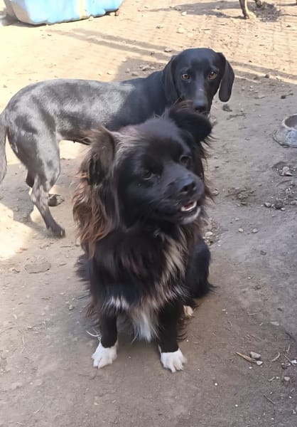 Doris möchte ihre Koffer packen