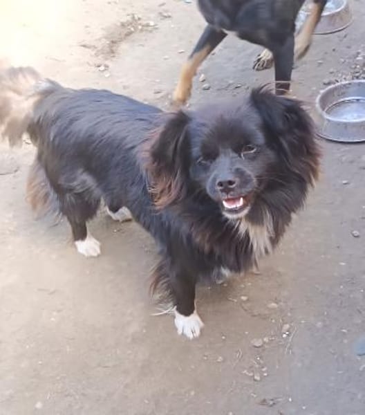 Doris möchte ihre Koffer packen