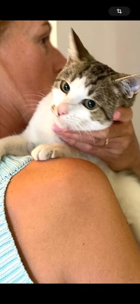 in Baden Würrtemberg wartet Julian