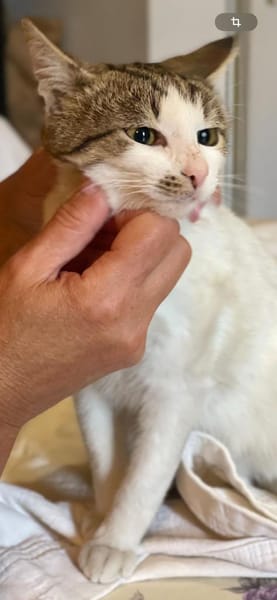 in Baden Würrtemberg wartet Julian