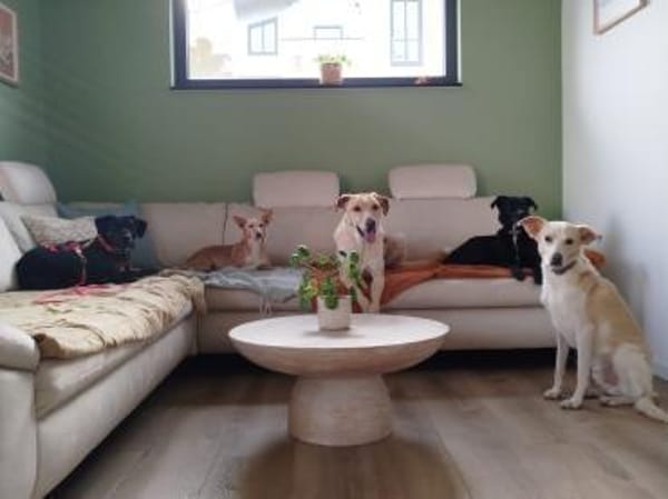 Charmante Pina wartet in 52385 Nideggen