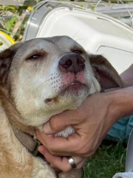 TRUDY -menschenbezogen & verträglich-