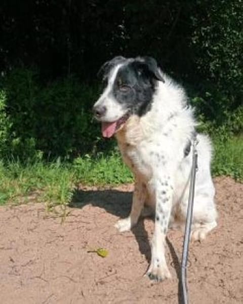 Wastel nun Toni 70 cm (Pflegestelle)