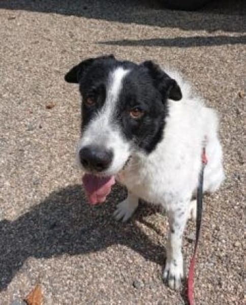 Wastel nun Toni 70 cm (Pflegestelle)