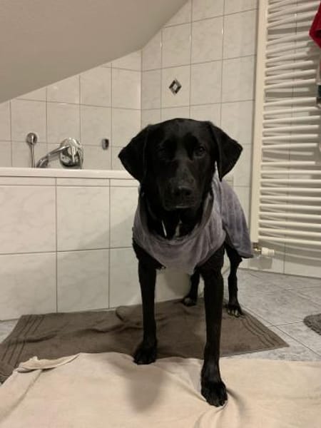 Samito  cleverer Herzensbrecher