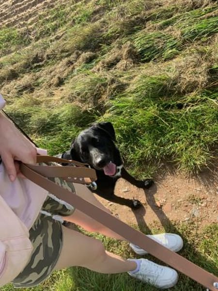 Samito  cleverer Herzensbrecher