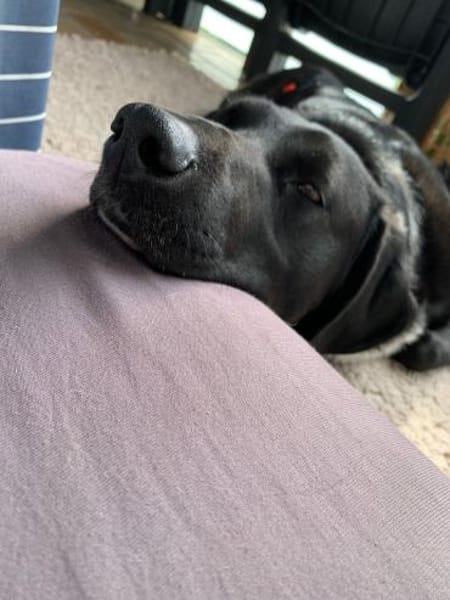 Samito  cleverer Herzensbrecher