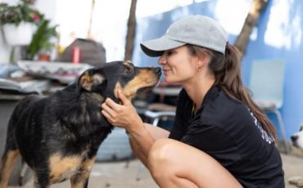 Sanfte Fellnase Nuna sucht Zuhause