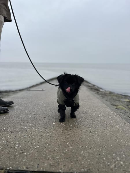 Nico hofft auf sein HAPPY-END