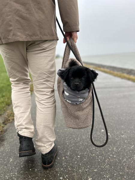 Nico hofft auf sein HAPPY-END