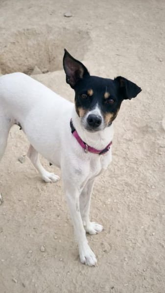 Delta wartet auf ihr Zuhause