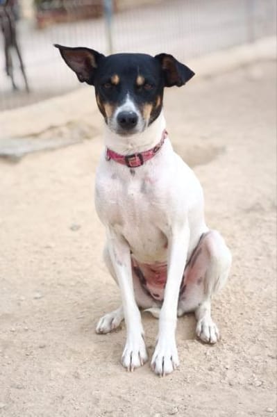 Delta wartet auf ihr Zuhause