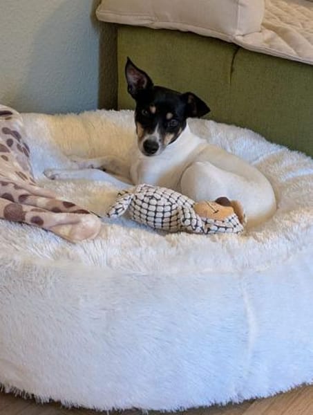 Delta wartet auf ihr Zuhause