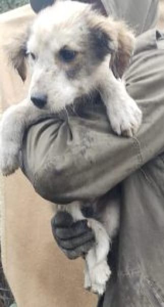 Moppi 30 cm (Okt 25) Pflegestelle