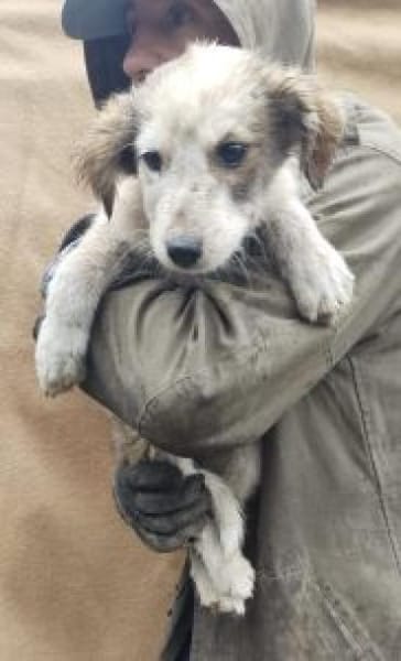 Moppi 30 cm (Okt 25) Pflegestelle