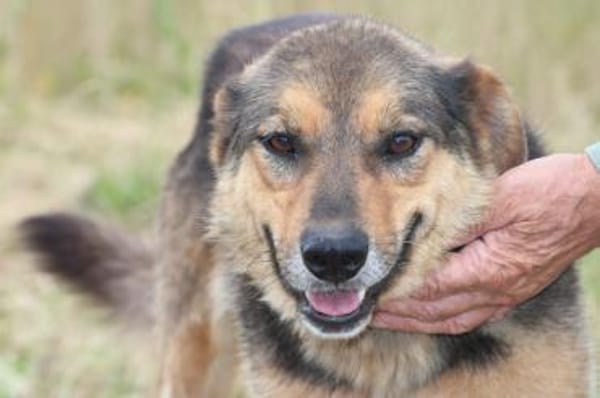 Samicah - kinderlieb u. unkompliziert