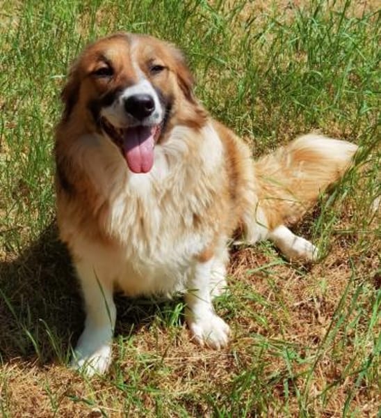 Clara sucht Ihre Menschen