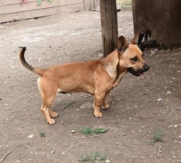 Pedro möchte seine Koffer packen