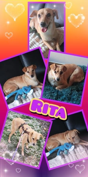 Rita - wartet in 91353 Hausen!