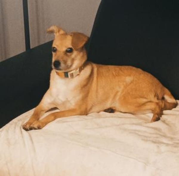 Rita - wartet in 91353 Hausen!