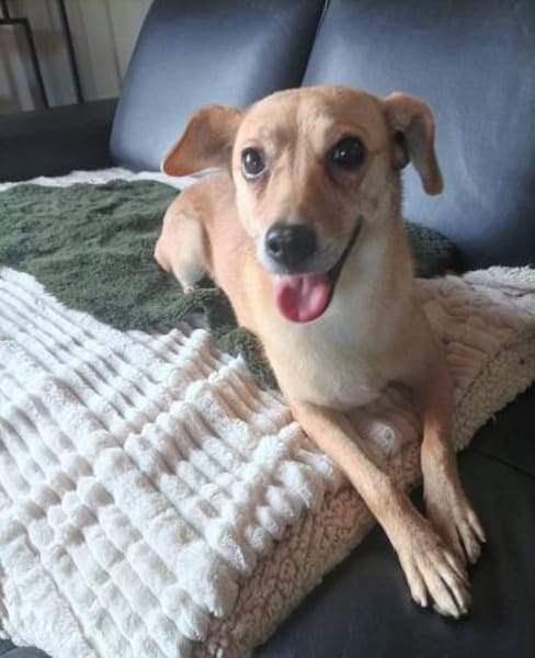 Rita - wartet in 91353 Hausen!