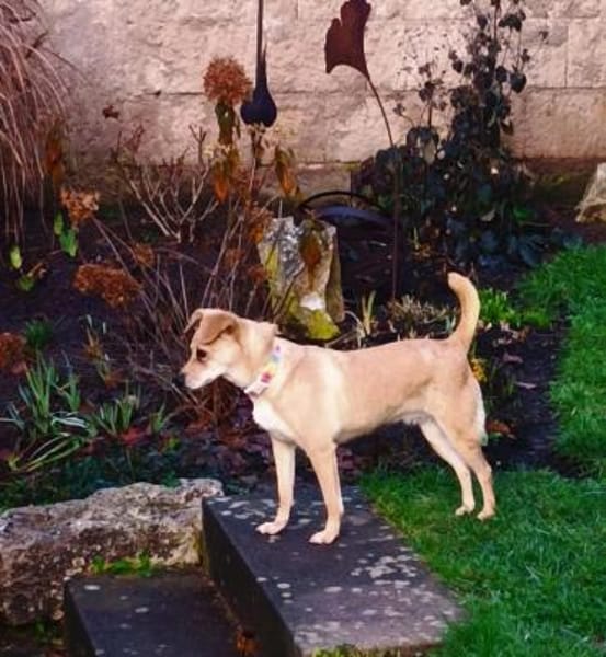 Rita - wartet in 91353 Hausen!