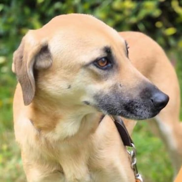 Daniela  plötzlich ist man Zuhause